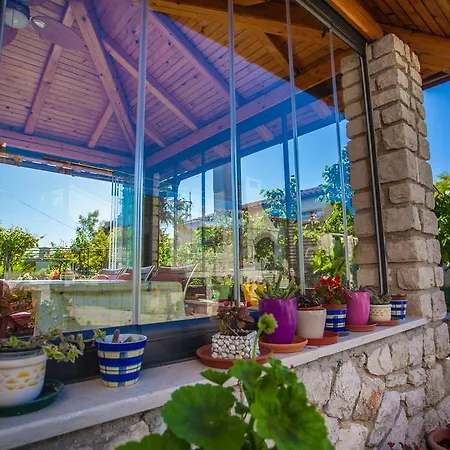 Kucic 게스트하우스